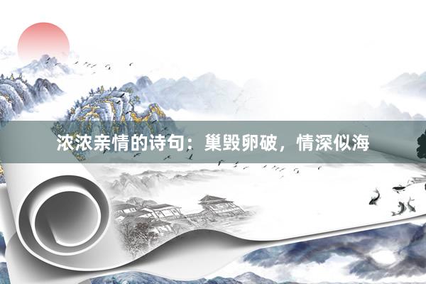 浓浓亲情的诗句：巢毁卵破，情深似海
