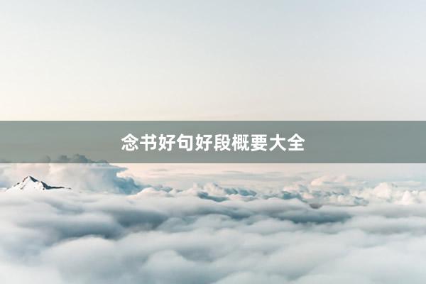 念书好句好段概要大全