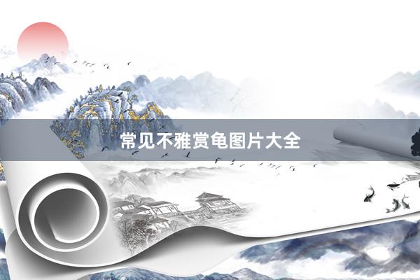 常见不雅赏龟图片大全